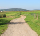 Außenanlage Weidstücker Hof