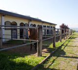 Stallungen Weidstücker Hof